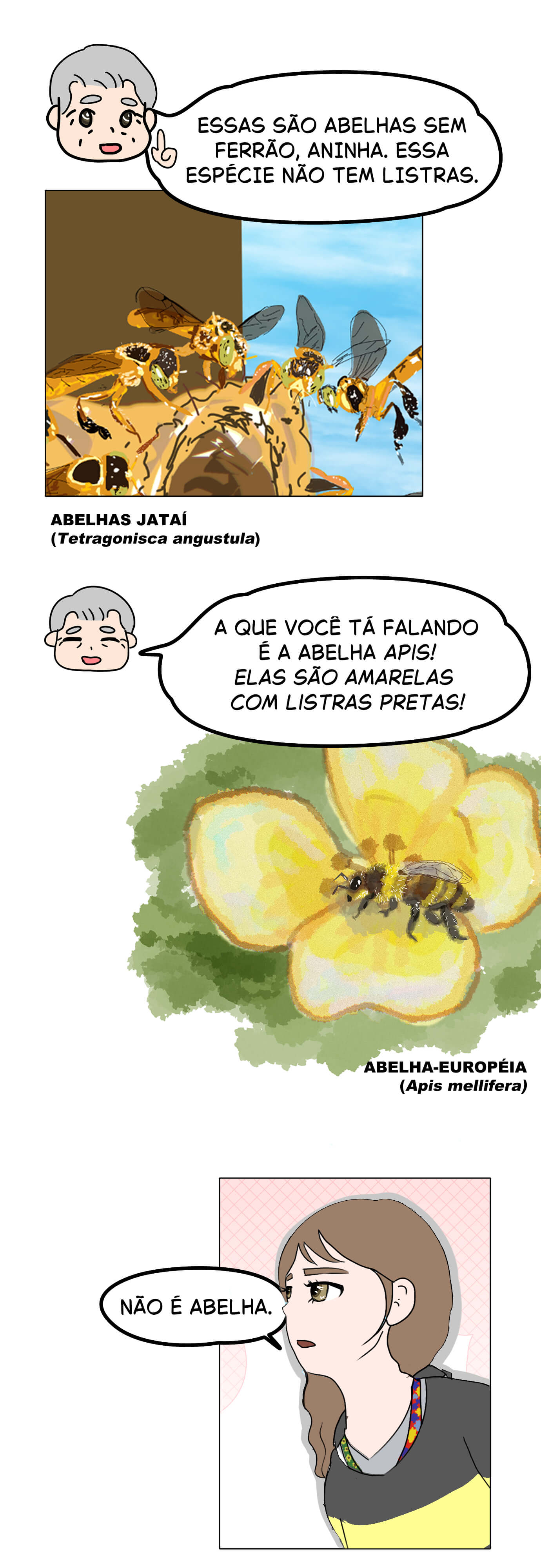 Página 11