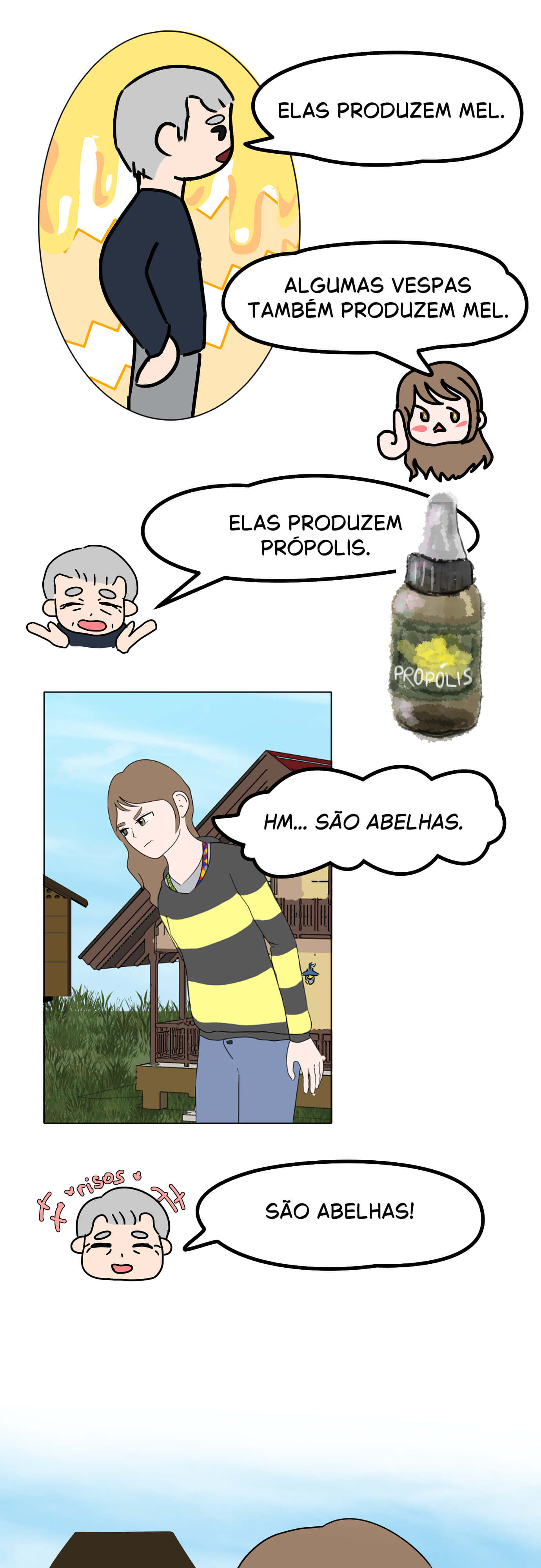 Página 12
