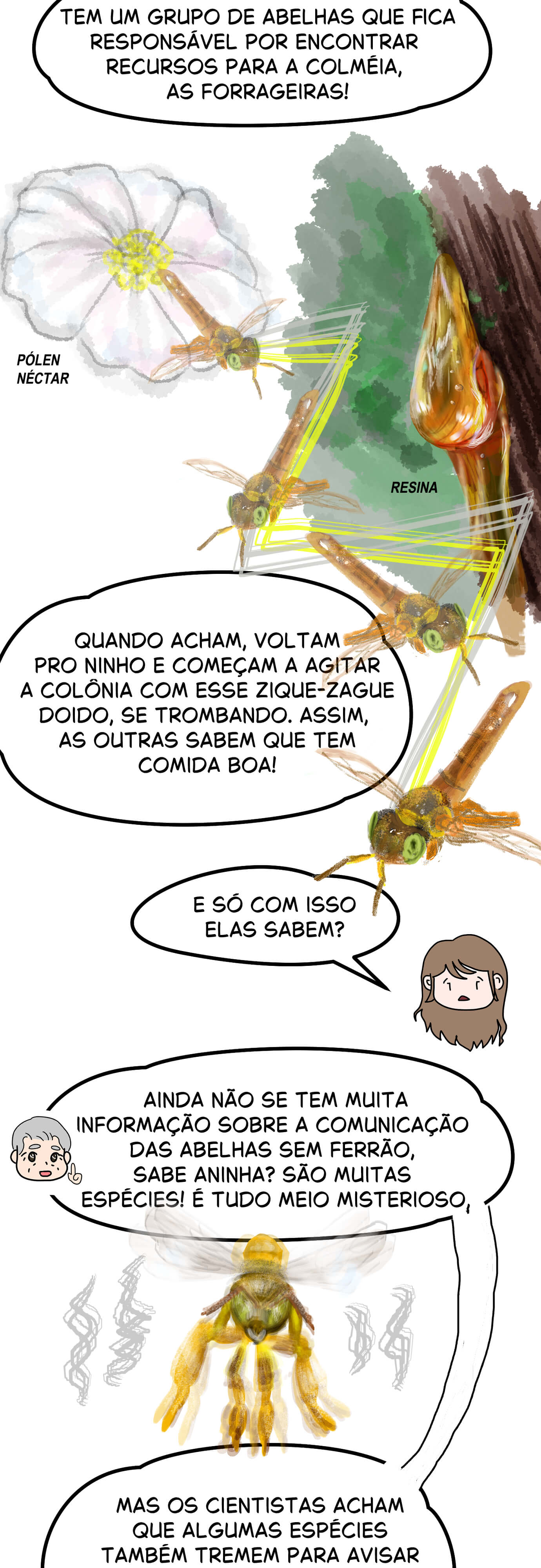 Página 55