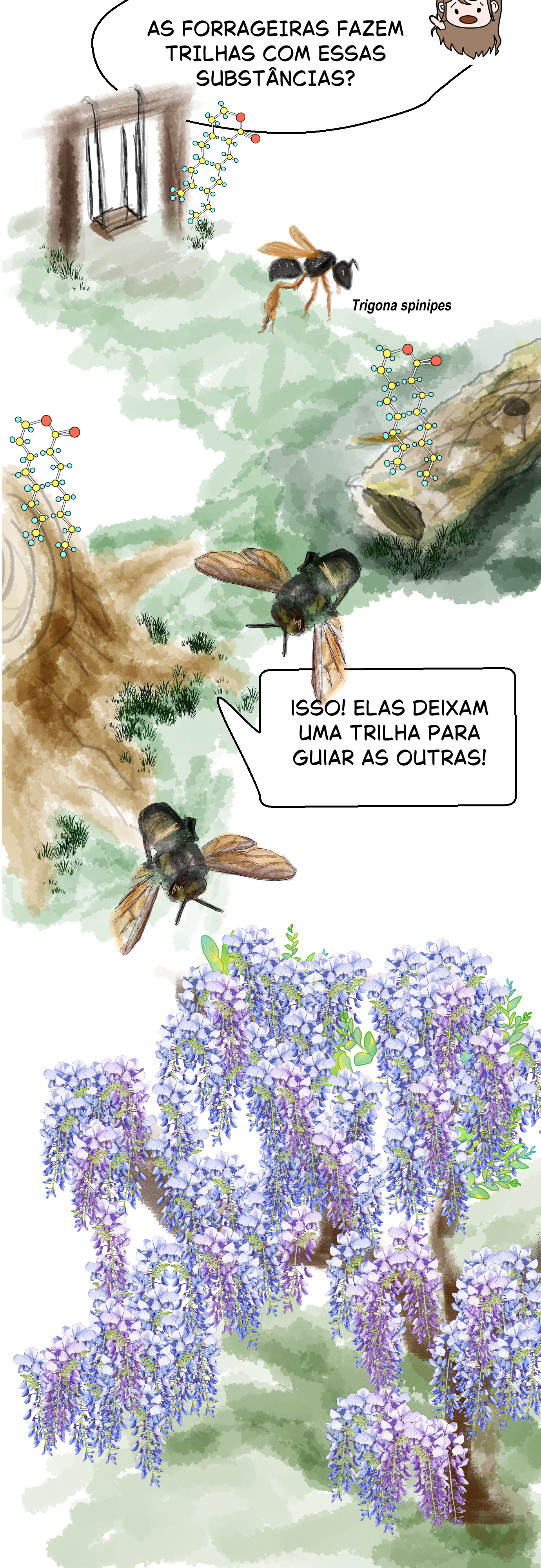 Página 57