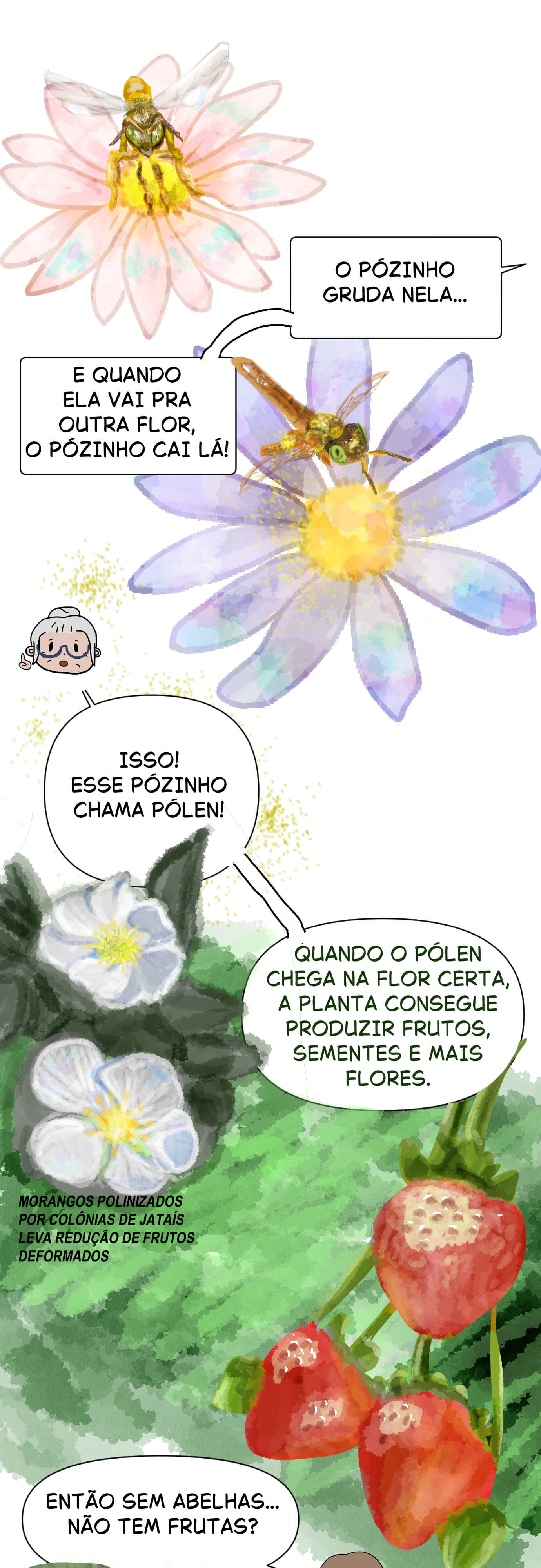 Página 61